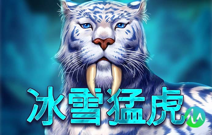 3y体育app